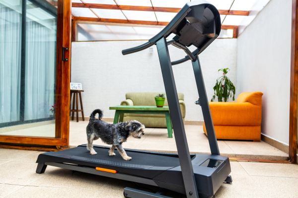 Treadmill Installation in Gulfport