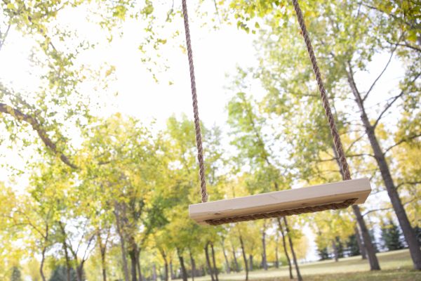 Tree Swing Installation in Gulfport