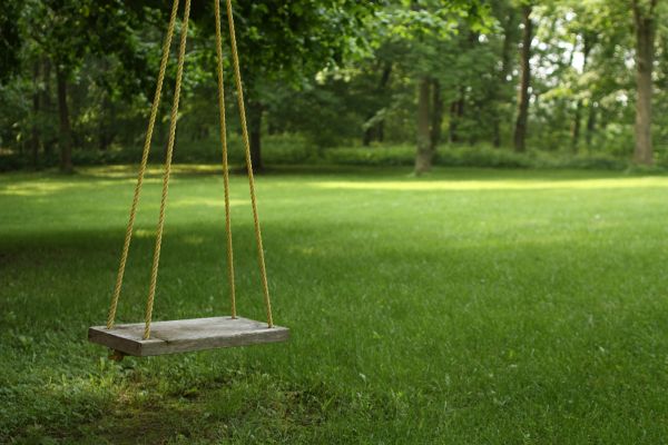 Rope Swing Installation in Gulfport
