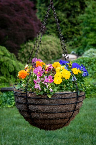 Hanging Basket Installation in Gulfport