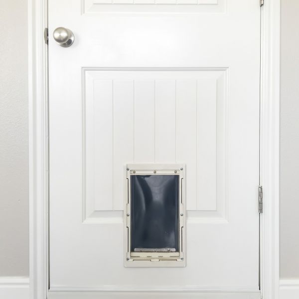 Pet Door Repair in Gulfport