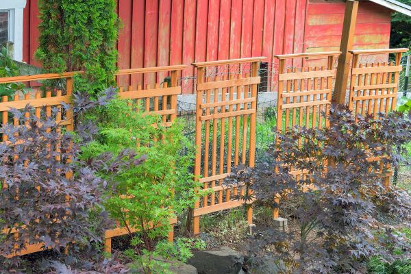 Wood Trellis Mounting in Gulfport