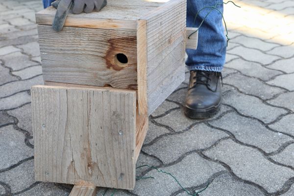 Birdhouse Mounting in Gulfport