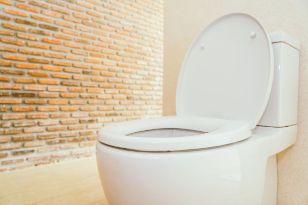 Toilet Seat Repair in Gulfport